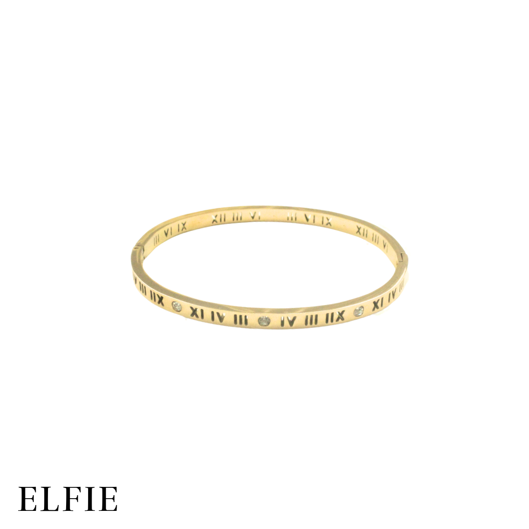 Roman Titanium Bangle