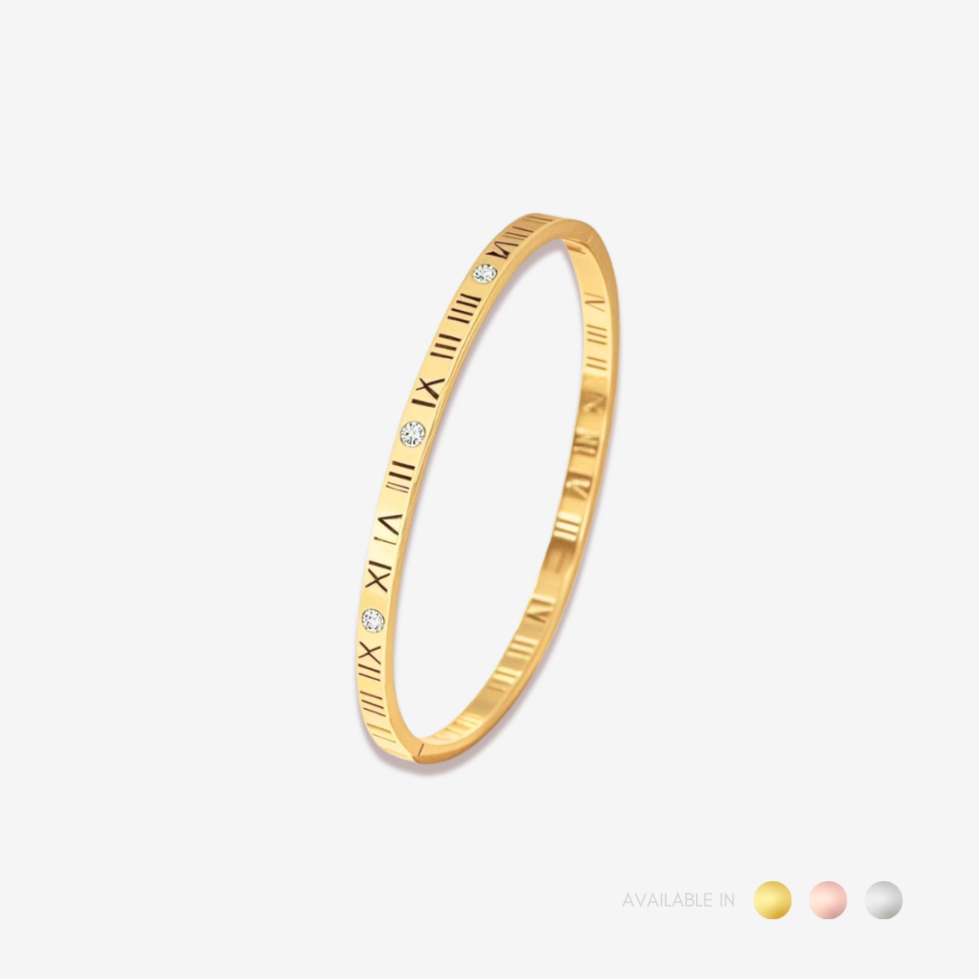 Celestime Silver Titanium Bangle