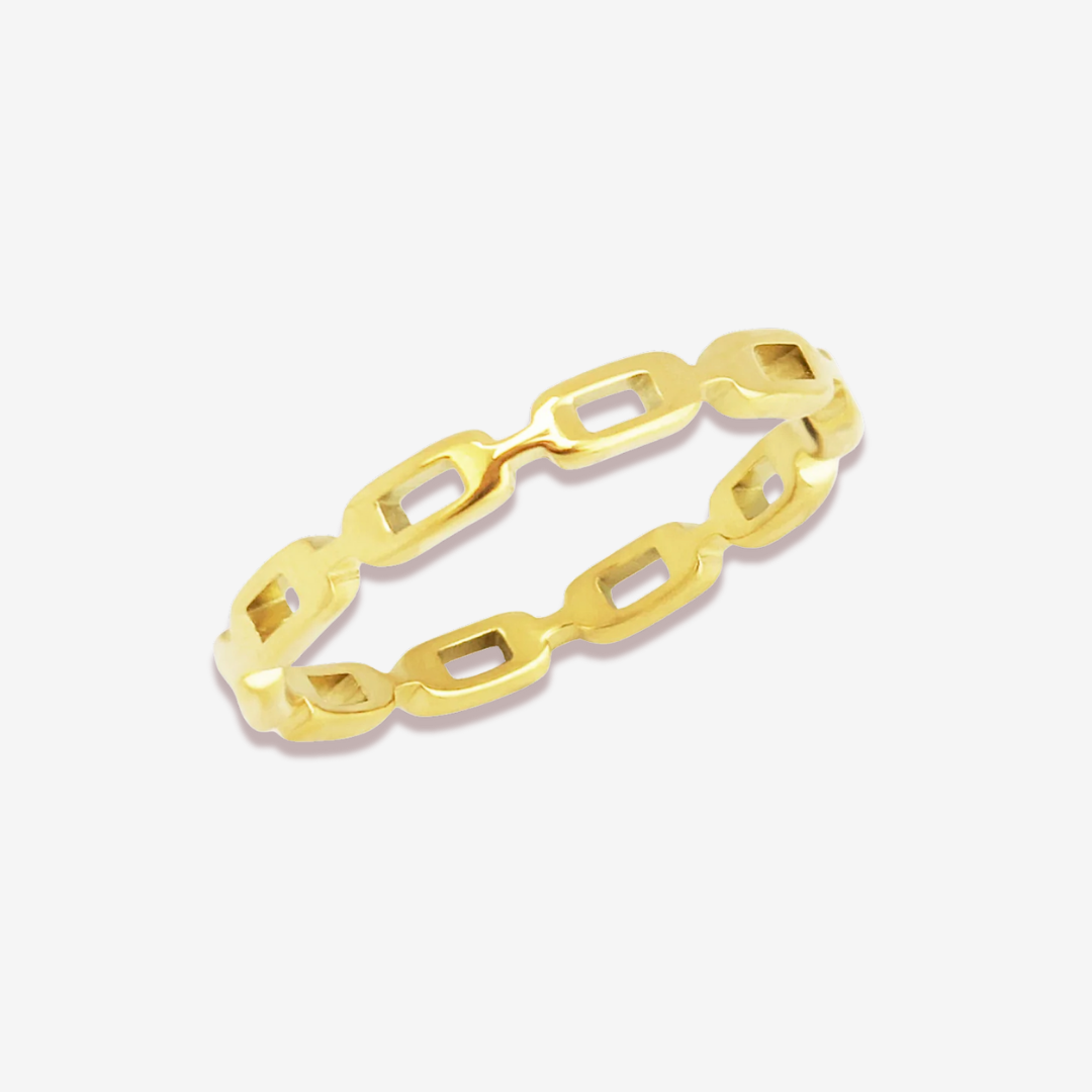 Celine Chain Silver Titanium Ring