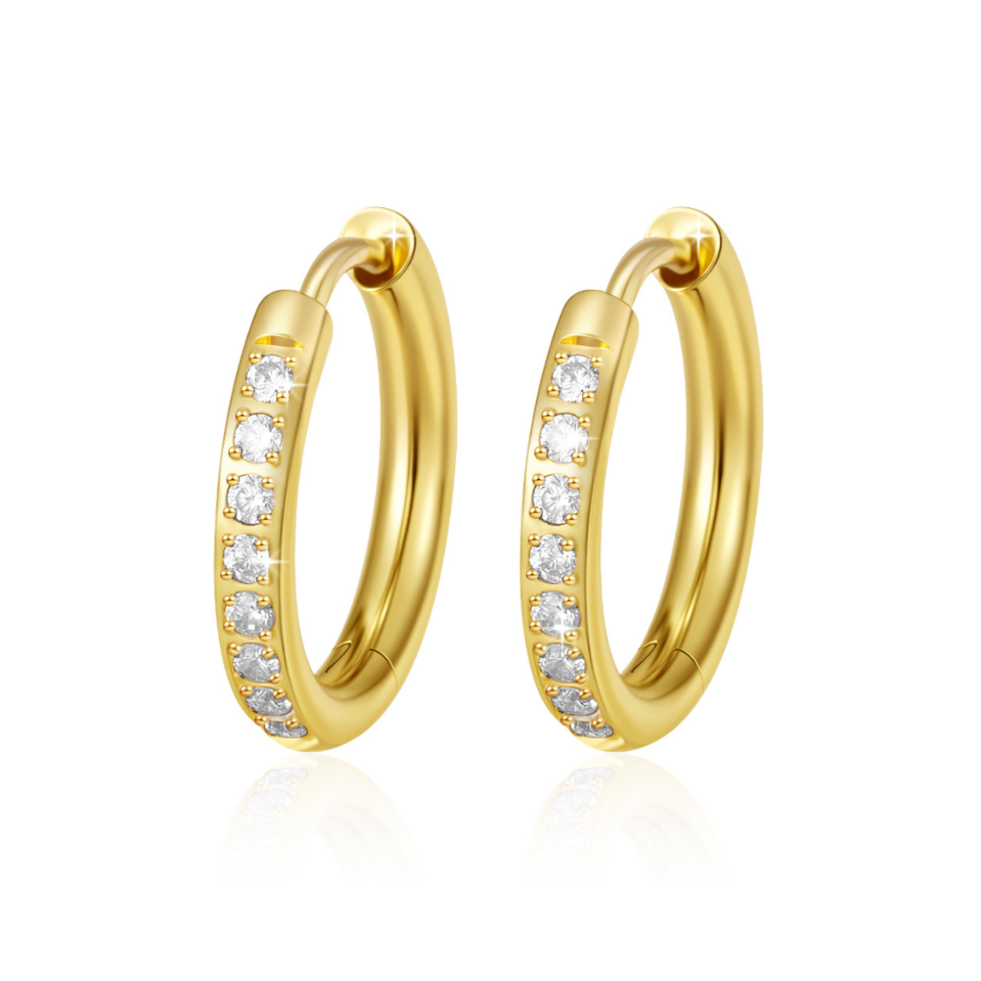 Diamond Dust Pave Huggie Hoop Titanium Earrings