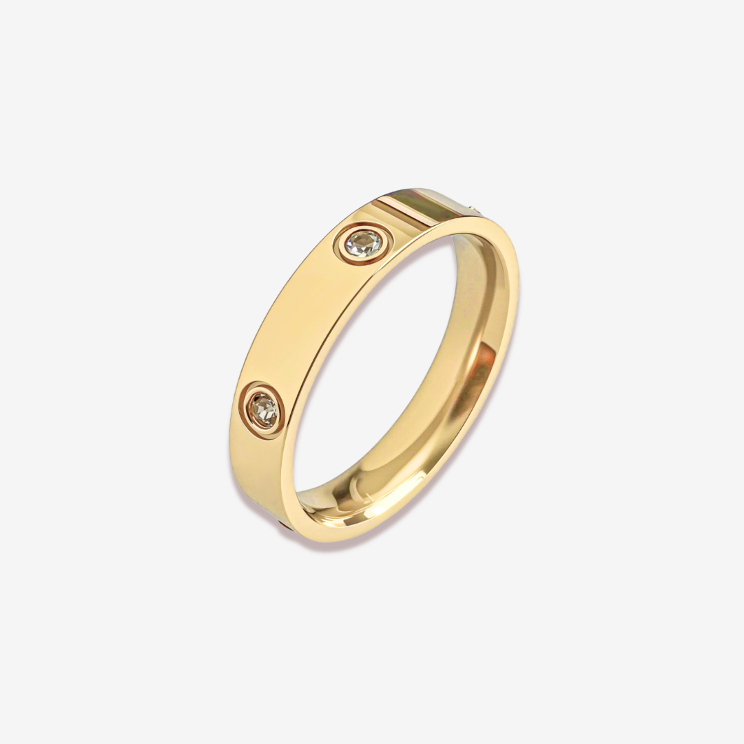 Elissa Silver Titanium Ring