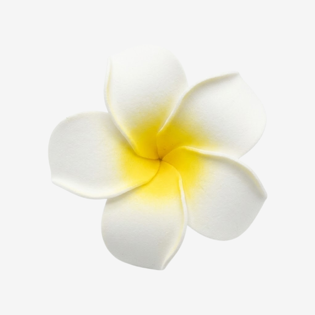 Small Frangipani Hair Pin Accessories