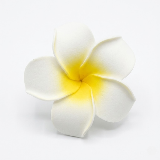 Big Frangipani Hair Pin Accessories