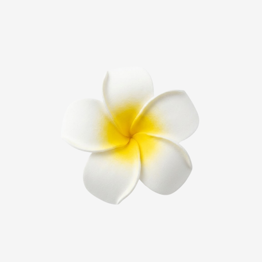 Small Frangipani Hair Pin Accessories