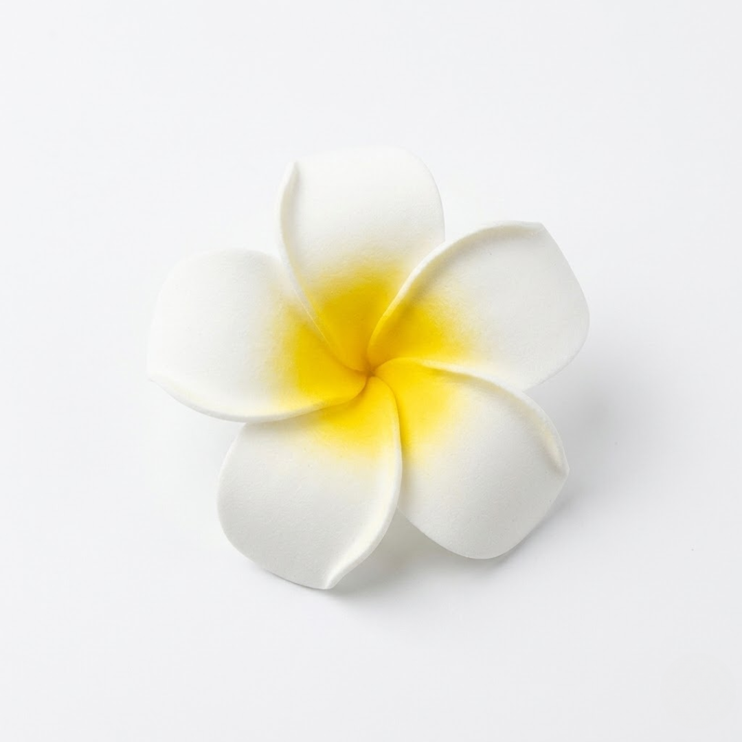 Big Frangipani Hair Pin Accessories