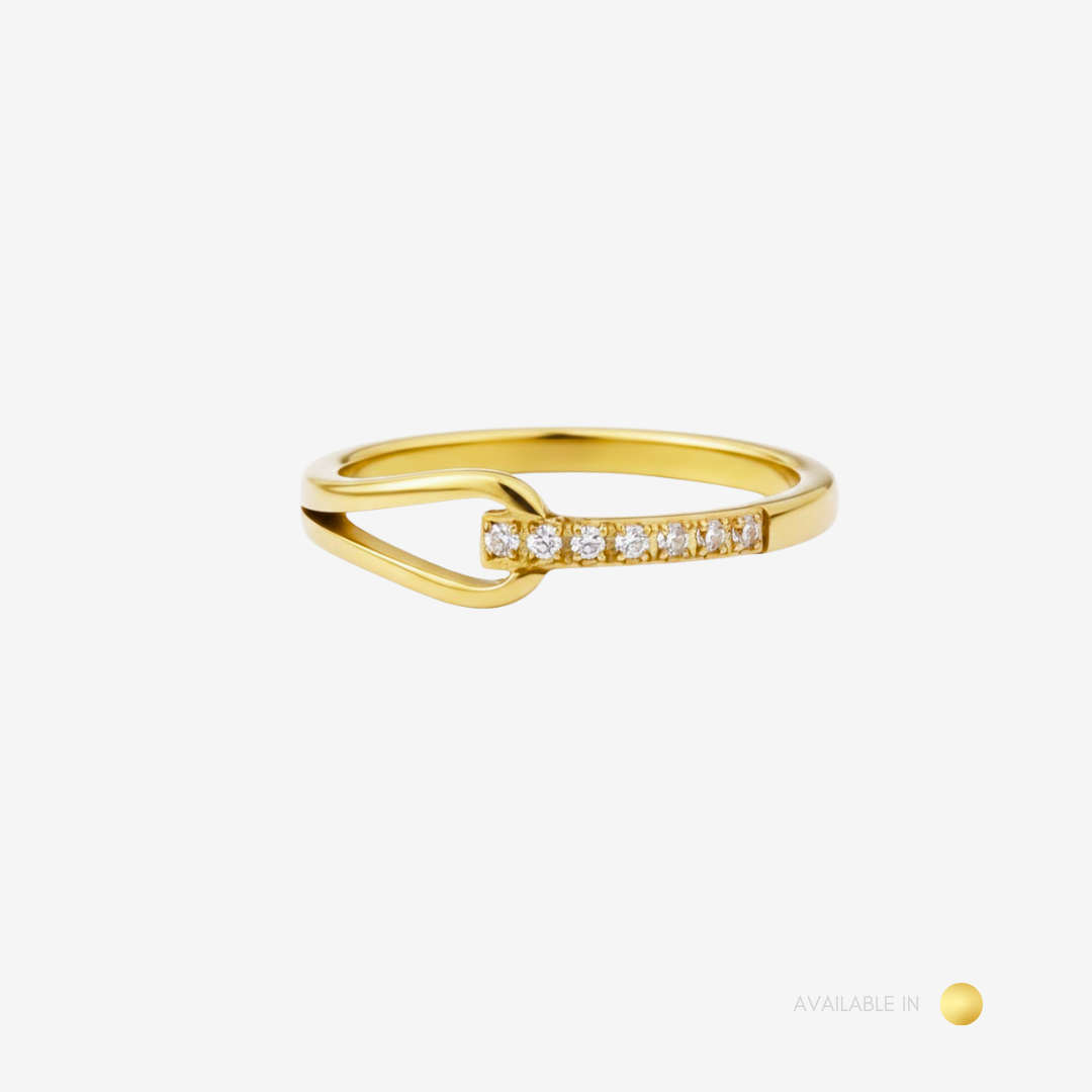 Liora Gold Titanium Ring