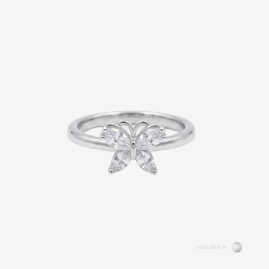 The Serafina Silver Titanium Ring
