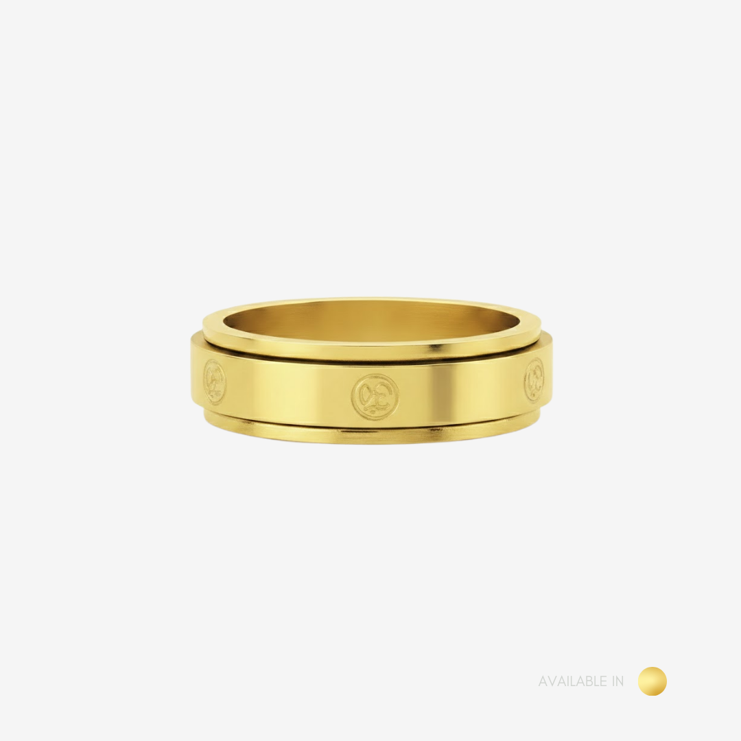 Regis Gold Titanium Ring